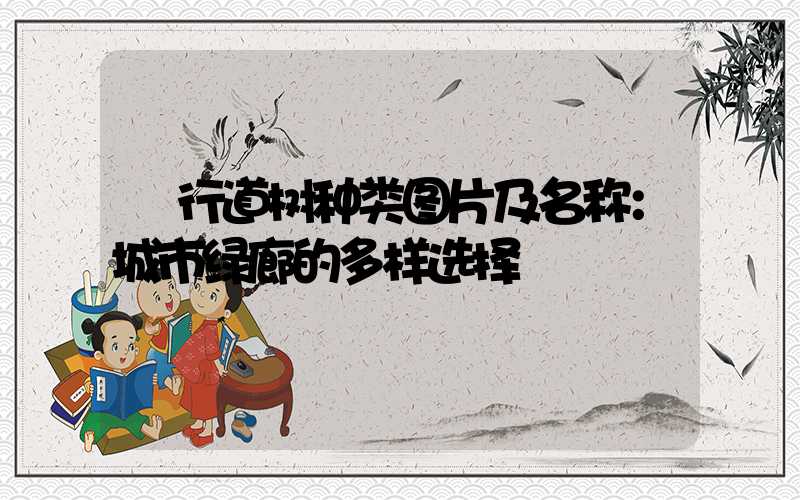  行道树种类图片及名称：城市绿廊的多样选择